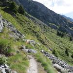 der Wanderweg wird nun alpiner