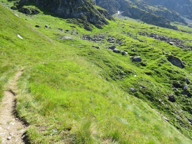 weiter geht unsere Höhenwanderung