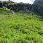 wir erreichen die Wegkreuzung 2546 m.ü.M. Von links stösst der blau-weisse Höhenweg von der Cabane du Mont Fort hinzu