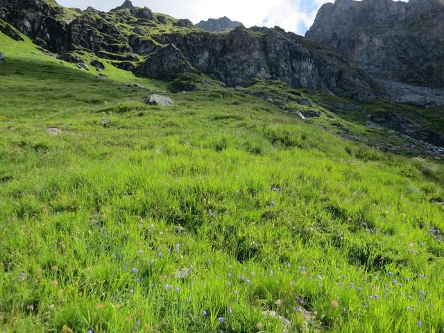 wir erreichen die Wegkreuzung 2546 m.ü.M. Von links stösst der blau-weisse Höhenweg von der Cabane du Mont Fort hinzu