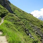 nach dieser erneuten Schrecksekunde setzen wir unsere Wanderung fort