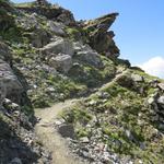 elegant führt der Bergweg um Hindernisse herum