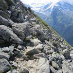 der Wanderweg führt nun immer wieder über kleine Rippen und Graben hinweg 2580 m.ü.M.