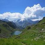 die eisgepanzerte Combin-Gruppe im Hintergrund des Lac de Louvie ist ein Bild für die Götter!