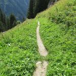 der Wanderweg führt einem unerbittlich weiter steil abwärts, und das bei grösster Hitze