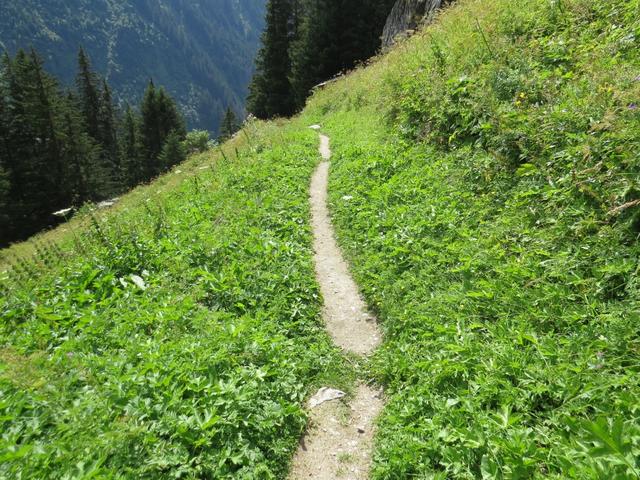 der Wanderweg führt einem unerbittlich weiter steil abwärts, und das bei grösster Hitze