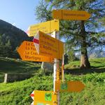 unsere heutige Wanderung wird uns auf den Mont de l'Arpille führen