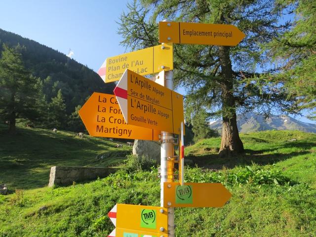 unsere heutige Wanderung wird uns auf den Mont de l'Arpille führen