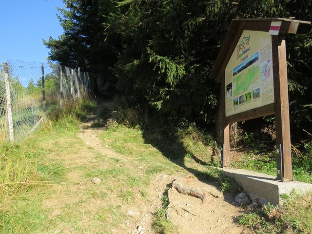 ...führt der Pfad am Camping vorbei in den Wald