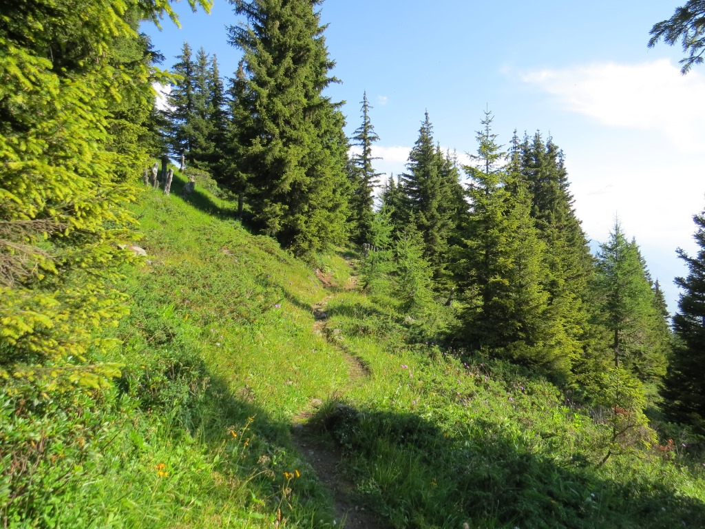 ...und erreichen bei Punkt 1862 m.ü.M. die ersten Waldlichtungen