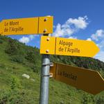 und erreichen direkt unter dem Mont de l'Arpille auf ca. 1950 m.ü.M. eine Wegkreuzung