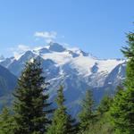 hinter uns die hochalpine Hoheit des Montblanc Massivs, vor uns die mediterran anmutenden Rebberge des Rhonetals