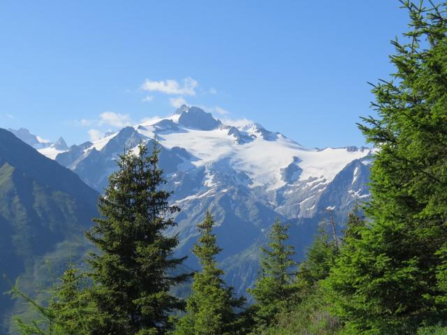 hinter uns die hochalpine Hoheit des Montblanc Massivs, vor uns die mediterran anmutenden Rebberge des Rhonetals