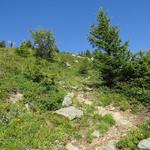 hier biegen wir links ab nehmen den Weg unter die Füsse der uns via diesen Gipfelrücken auf den Mont de l'Arpille bringen wird