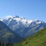was für eine Aussicht! Links der Glacier du Trient, Aiguille du Tour und Glacier des Grands