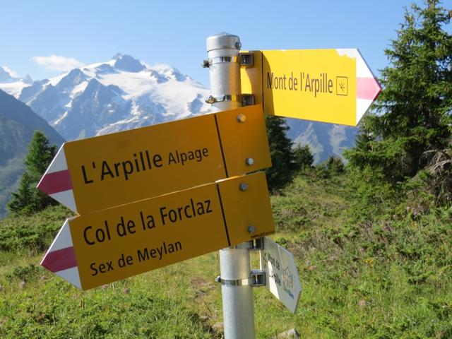 schon nach kurzer Zeit erreichen wir den bewaldeten Buckel des Mont de l'Arpille