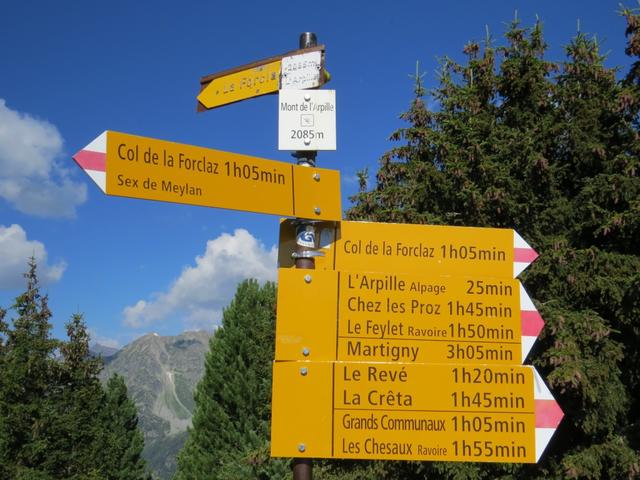 Wegweiser auf dem Gipfel des Mont de l'Arpille 2085 m.ü.M.