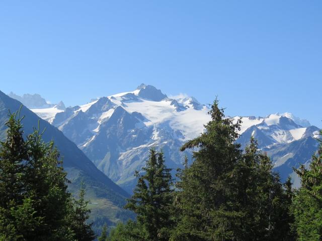 was für eine traumhafte Aussicht! Aiguille du Tour, Aiguille du Pissoir und Aiguille du Chardonnet