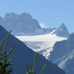 der Blick reicht bis zu den Aiguilles Dorées und den Plateau du Trient, den wir auch schon besucht haben