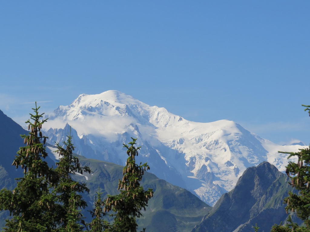 ganz hinten thront in seiner ganzen Majestät der Mont Blanc!