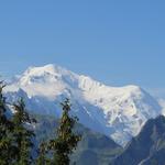 ganz hinten thront in seiner ganzen Majestät der Mont Blanc!