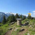 wir haben den Gipfel des Mont de l'Arpille erreicht