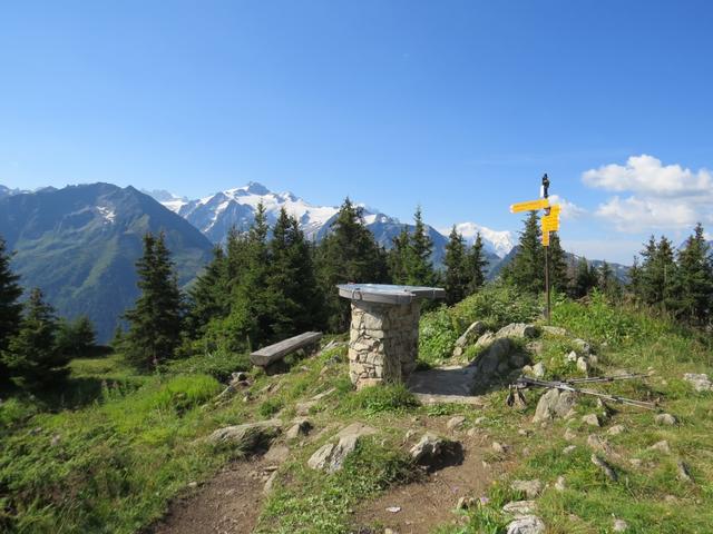 wir haben den Gipfel des Mont de l'Arpille erreicht