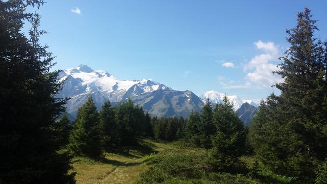 ...geht es über diese weitläufige Gipfelfläche des Mont de l'Arpille mit wetterzerzausten Bäumen, ...