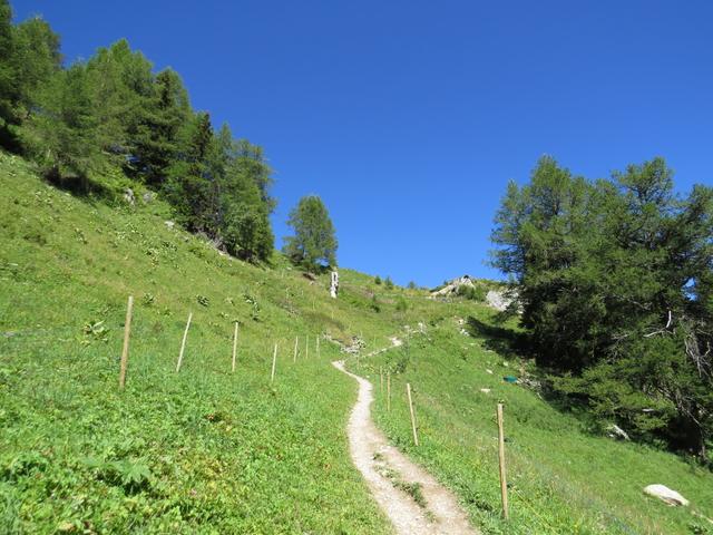 ...die Alp Les Tseppes 1932 m.ü.M. an