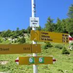 Wegweiser auf der Alp Les Tseppes