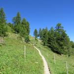 wir umkurven als nächstes den Nordausläufer des Croix de Fer...