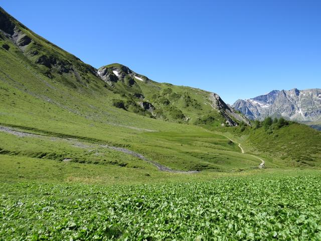 vorbei an der Alpsiedlung, verlieren wir leicht an Höhe, und durchwandern danach die grosse Alp Catogne 2011 m.ü.M.