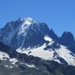 Blick auf die Aiguille Verte