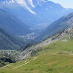 Blick auf Chamonix