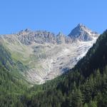 rechts von uns die Gletscherfelder des Trientplateaus, des nördlichsten Zipfel der Mont-Blanc­-Gruppe