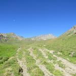 ...und nehmen bei schönstem Wetter, den Wanderweg unter die Füsse, der uns auf die Alpage de Torrent führen wird