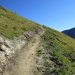 auf dem Weg zum Col de Torrent begegnet man viele Weitwanderer. Wir befinden uns auf der Route Chamonix-Zermatt