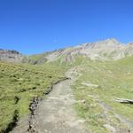 der Wanderweg führt zunächst in nur mässiger Steigung durch das Rasengelände 2667 m.ü.M....