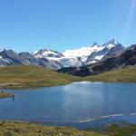 ein Bild für die Götter: Lac des Autannes, Bishorn, Weisshorn, Zinalrothorn und Dent Blanche