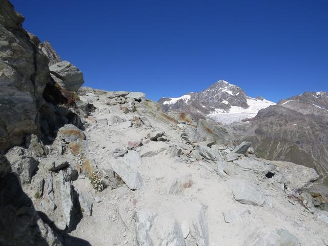 während dem Aufstieg können wir immer wieder die Dent Blanche bestaunen