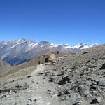 in der Bildmitte gut ersichtlich der Dom. Mit 4545m der höchste ganz in der Schweiz befindliche Berg