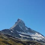 über uns throhnt jetzt die Matterhorn-Nordwand, in deren Angesicht wir den Kopf ganz schön in den nacken legen müssen