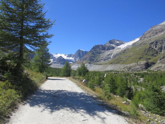 das gut besuchte Berghaus lassen wir rechts liegen und biegen links in einen breiten Fahrweg ein