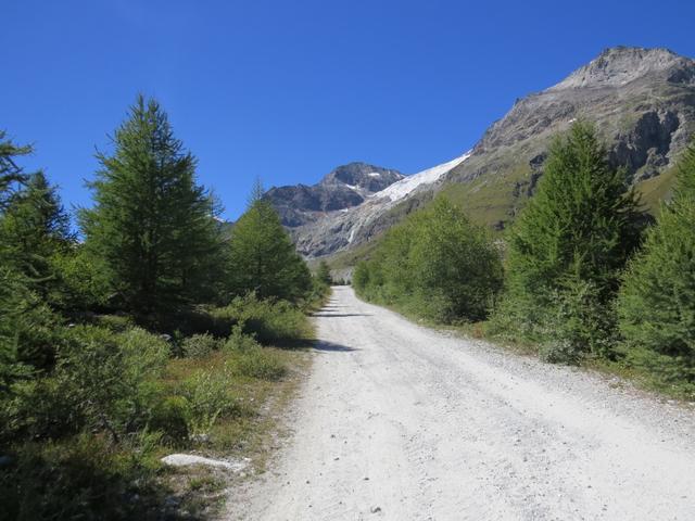 bei der Weggabelung biegen wir rechts ab und erreichen über Punkt 2179 m.ü.M....