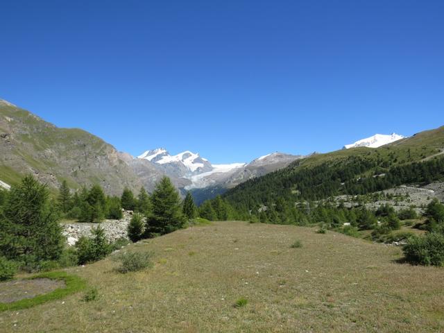 Blick talauswärts Richtung Allalinhorn, Rimpfischhorn, Strahlhorn und Monte Rosa