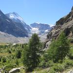 Blick ins Talende. Links Dent d'Hérens, Tête de Valpelline und der Tiefmattengletscher