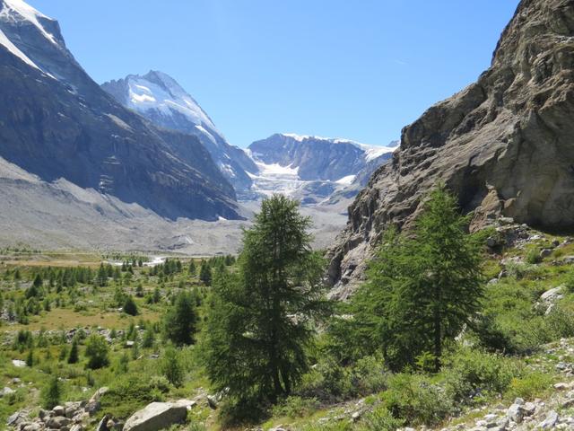 Blick ins Talende. Links Dent d'Hérens, Tête de Valpelline und der Tiefmattengletscher