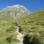 wie eingeplant wollen wir über den Höhbalmen-Höhenweg zurück nach Zermatt, und biegen aus diesem Grund hier links ab