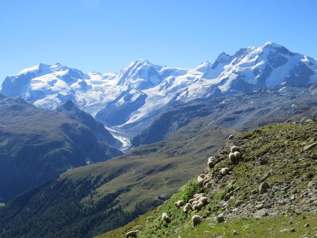 was für ein Panorama während dem Wandern!