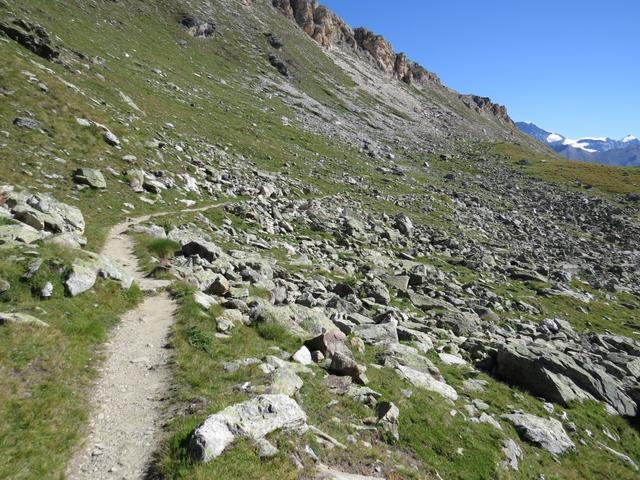 am Distelgufer 2718 m.ü.M. sind diese vorübergehend steiler...